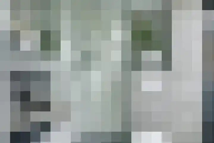 Provincialeweg 5 B 215 Oudkarspel thumbnail 19
