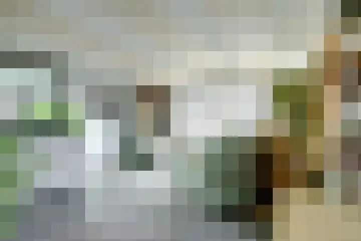 Provincialeweg 5 B 215 Oudkarspel thumbnail 4