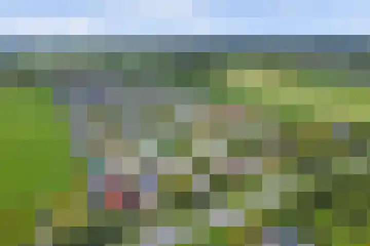 Provincialeweg 5 B 215 Oudkarspel thumbnail 44