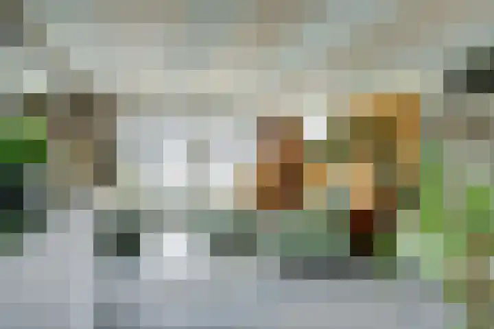 Provincialeweg 5 B 215 Oudkarspel thumbnail 5