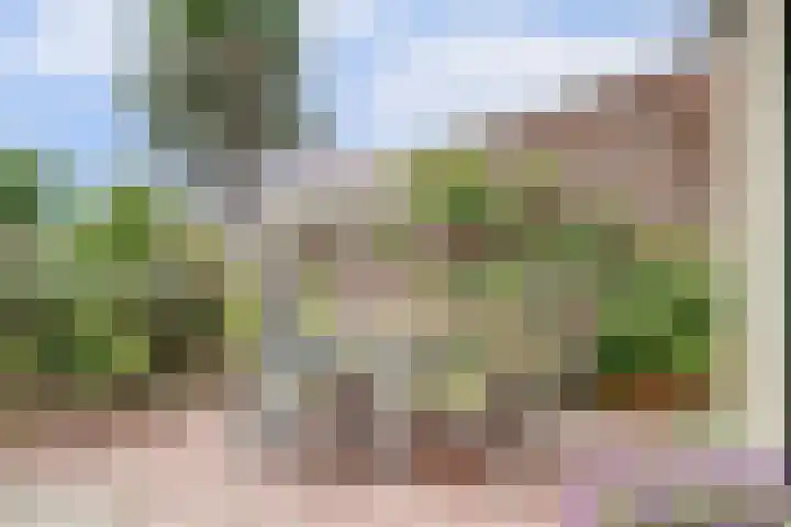 Provincialeweg 5 Geersdijk thumbnail 34