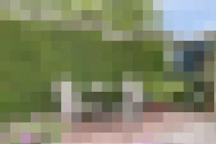 Provincialeweg 5 Geersdijk thumbnail 35