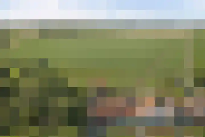 Provincialeweg 5 Geersdijk thumbnail 37