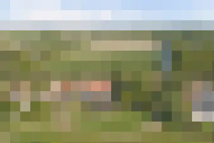Provincialeweg 5 Geersdijk thumbnail 38