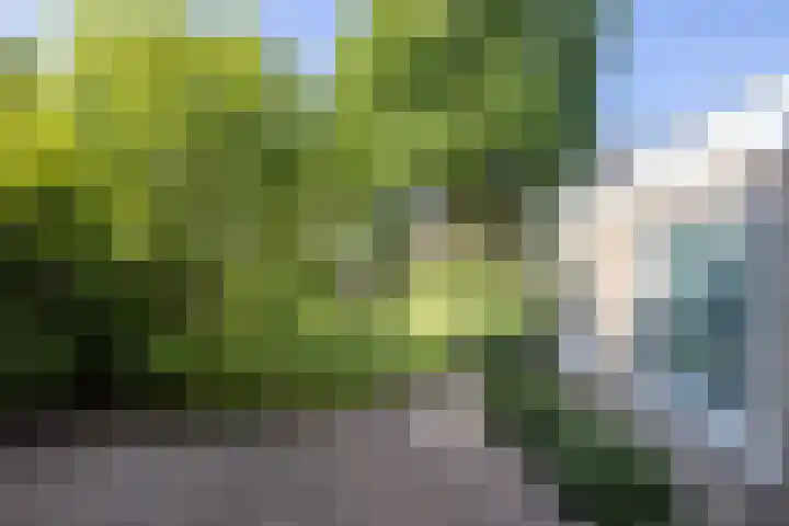 Provincialeweg 50 Limbricht thumbnail 17