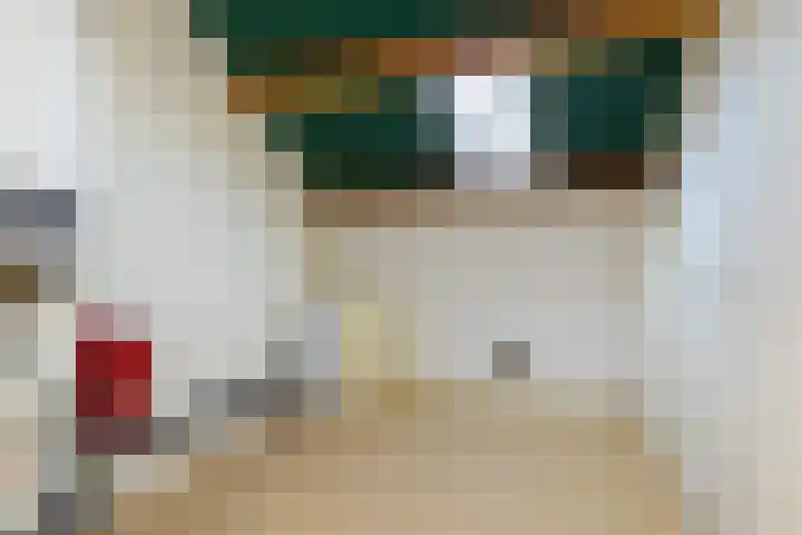 Provincialeweg 50 Limbricht thumbnail 35