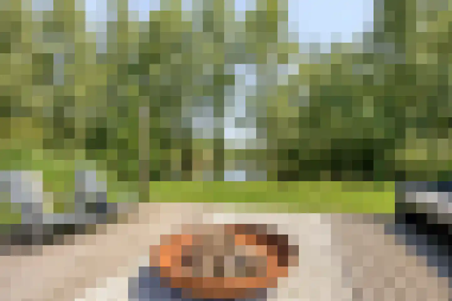 Provincialeweg 55 Maren-Kessel thumbnail 53
