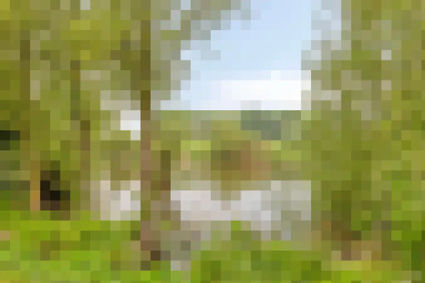Provincialeweg 55 Maren-Kessel thumbnail 54