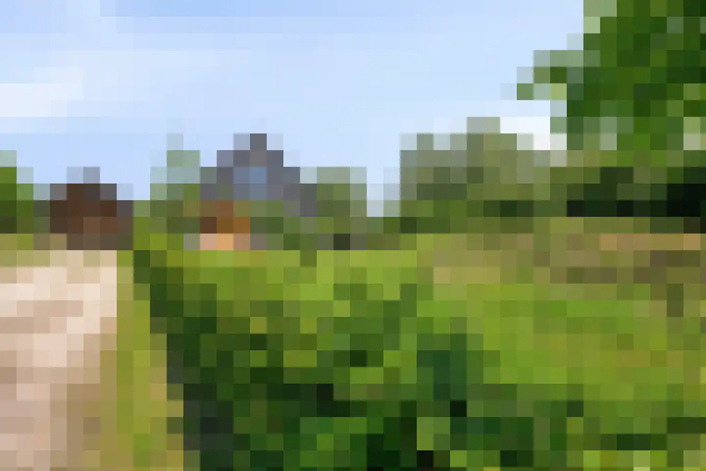 Provincialeweg 55 Maren-Kessel thumbnail 60