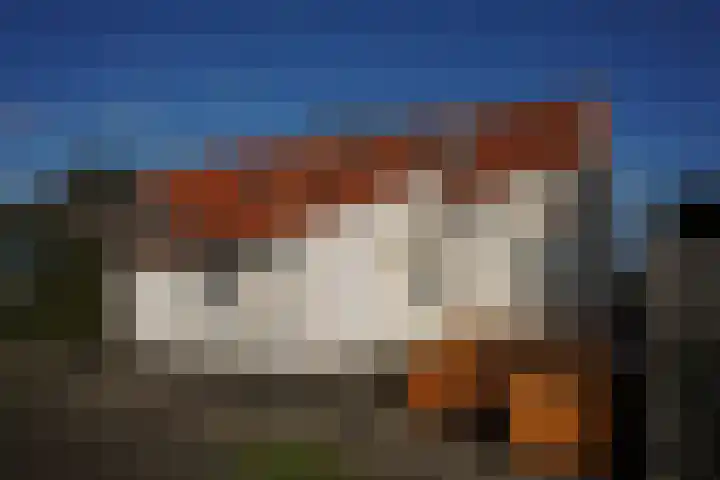 Provincialeweg 56 Groede thumbnail 21