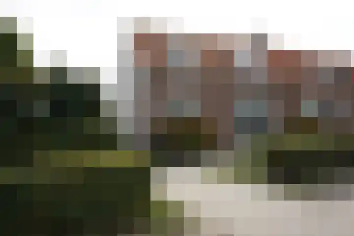 Provincialeweg 56 Groede thumbnail 26
