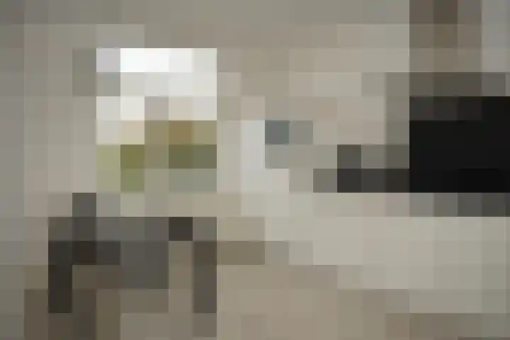 Provincialeweg 56 Groede thumbnail 9