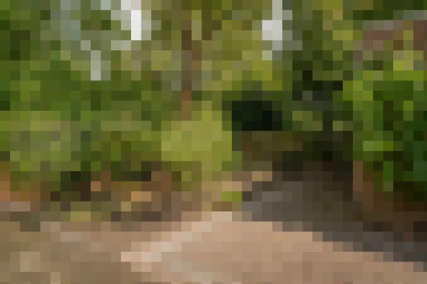 Provincialeweg 57 Veldhoven thumbnail 78