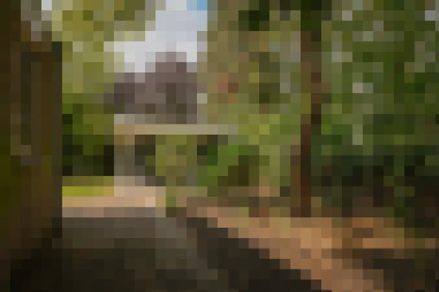 Provincialeweg 57 Veldhoven thumbnail 79