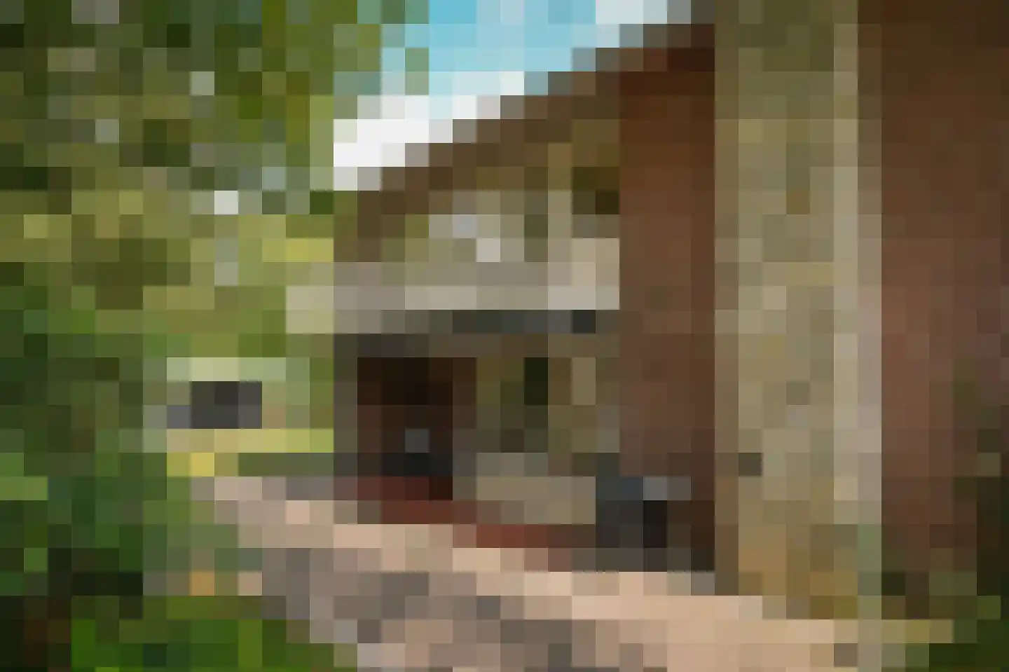 Provincialeweg 57 Veldhoven thumbnail 81