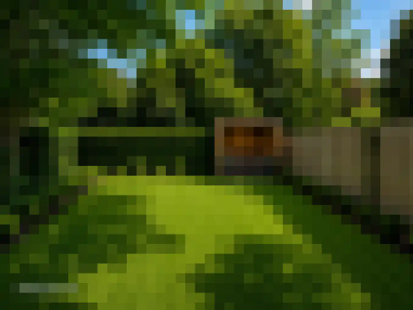 Provincialeweg 59 Veldhoven thumbnail 37