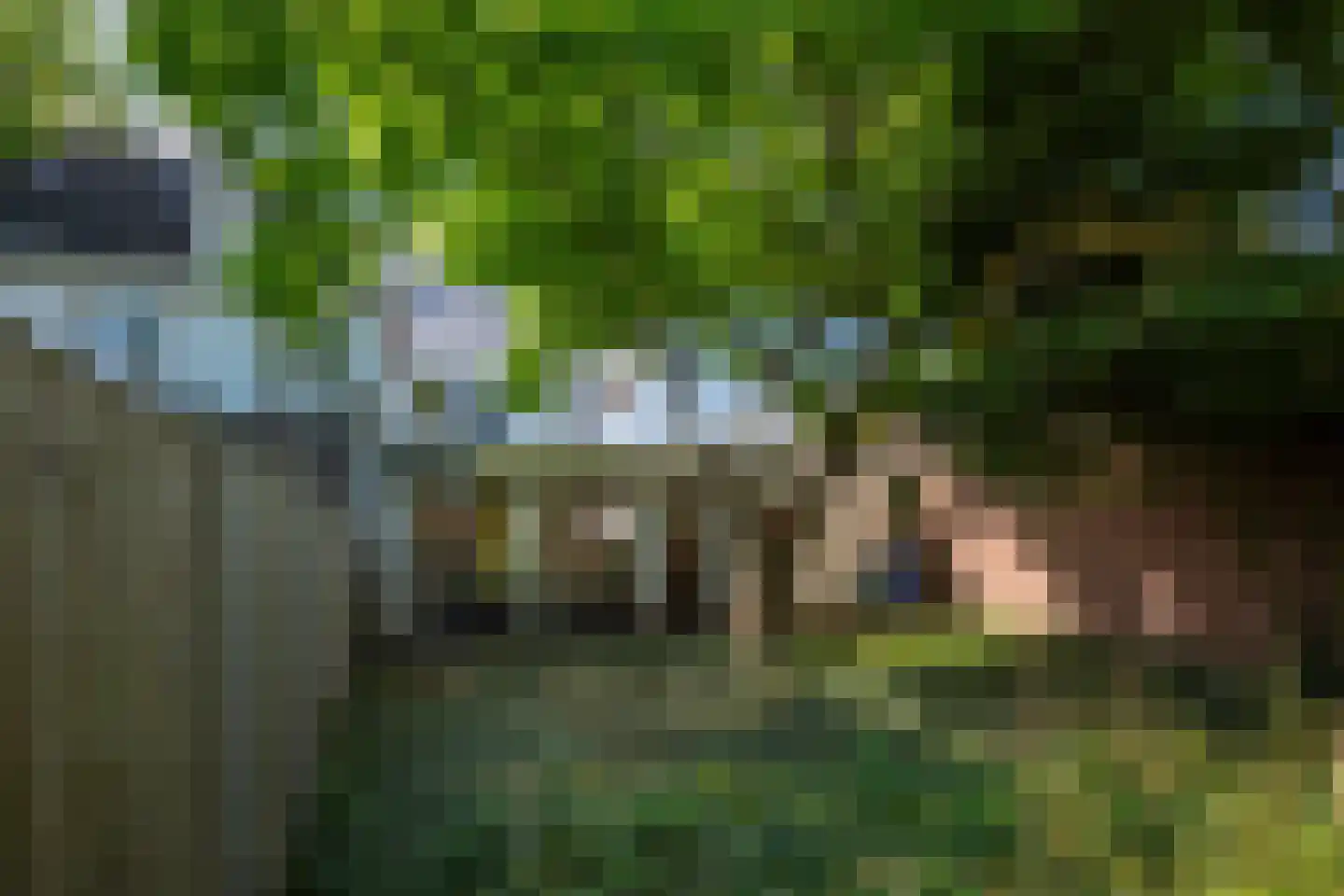 Provincialeweg 59 Veldhoven thumbnail 38