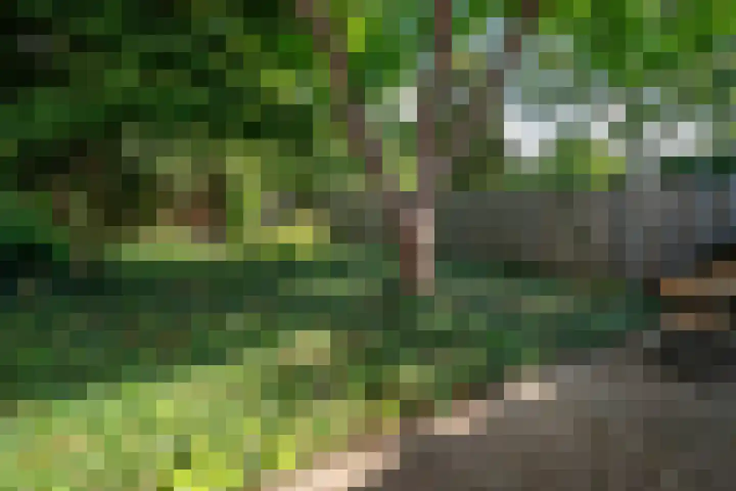 Provincialeweg 59 Veldhoven thumbnail 39