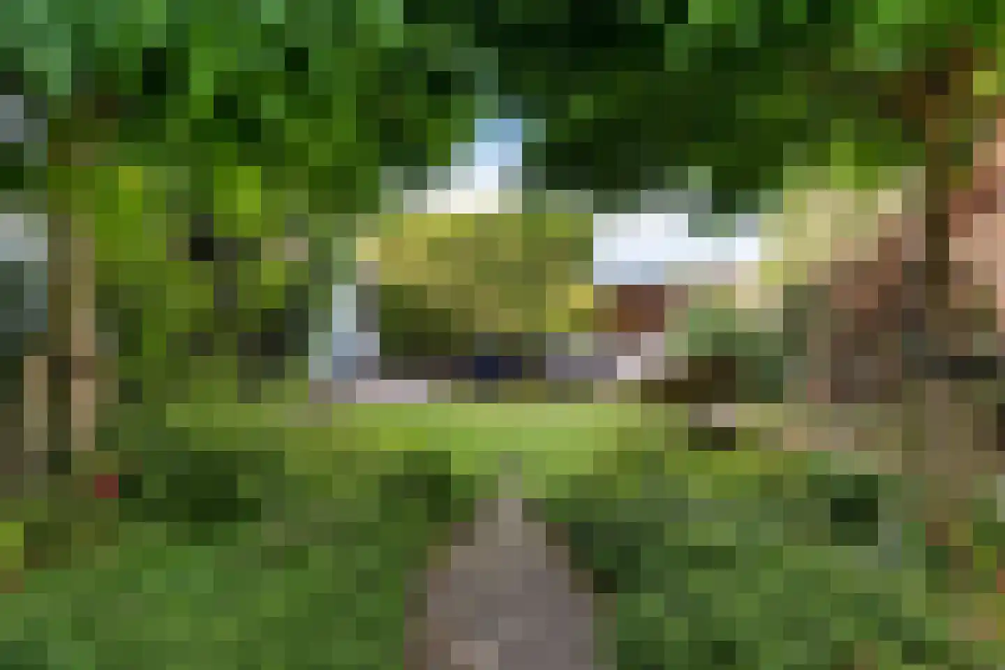 Provincialeweg 6 Oudkarspel thumbnail 54