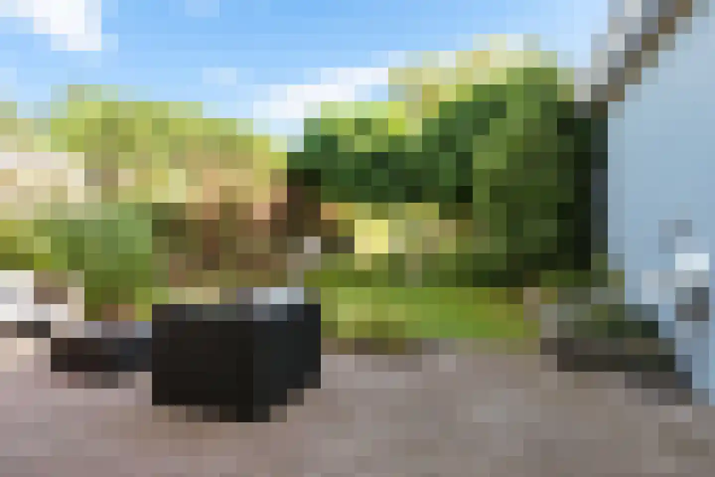 Provincialeweg 6 Oudkarspel thumbnail 56