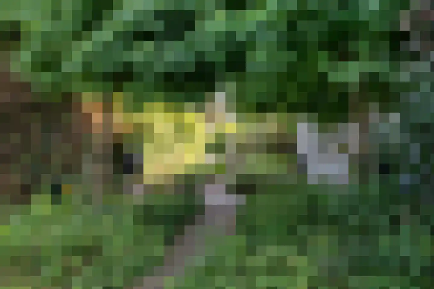 Provincialeweg 6 Oudkarspel thumbnail 58