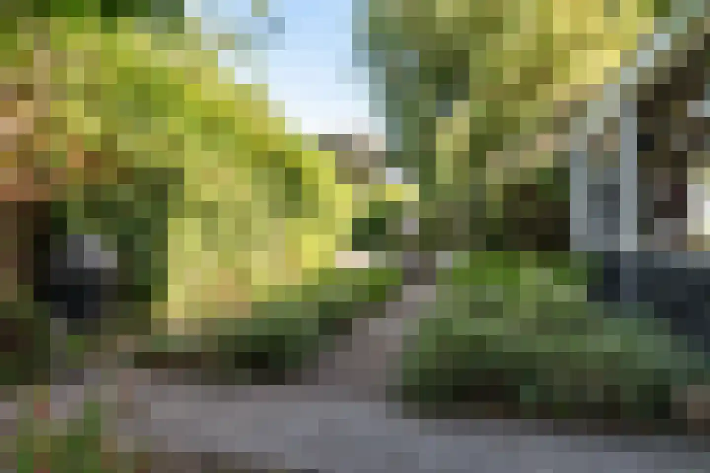 Provincialeweg 6 Oudkarspel thumbnail 59