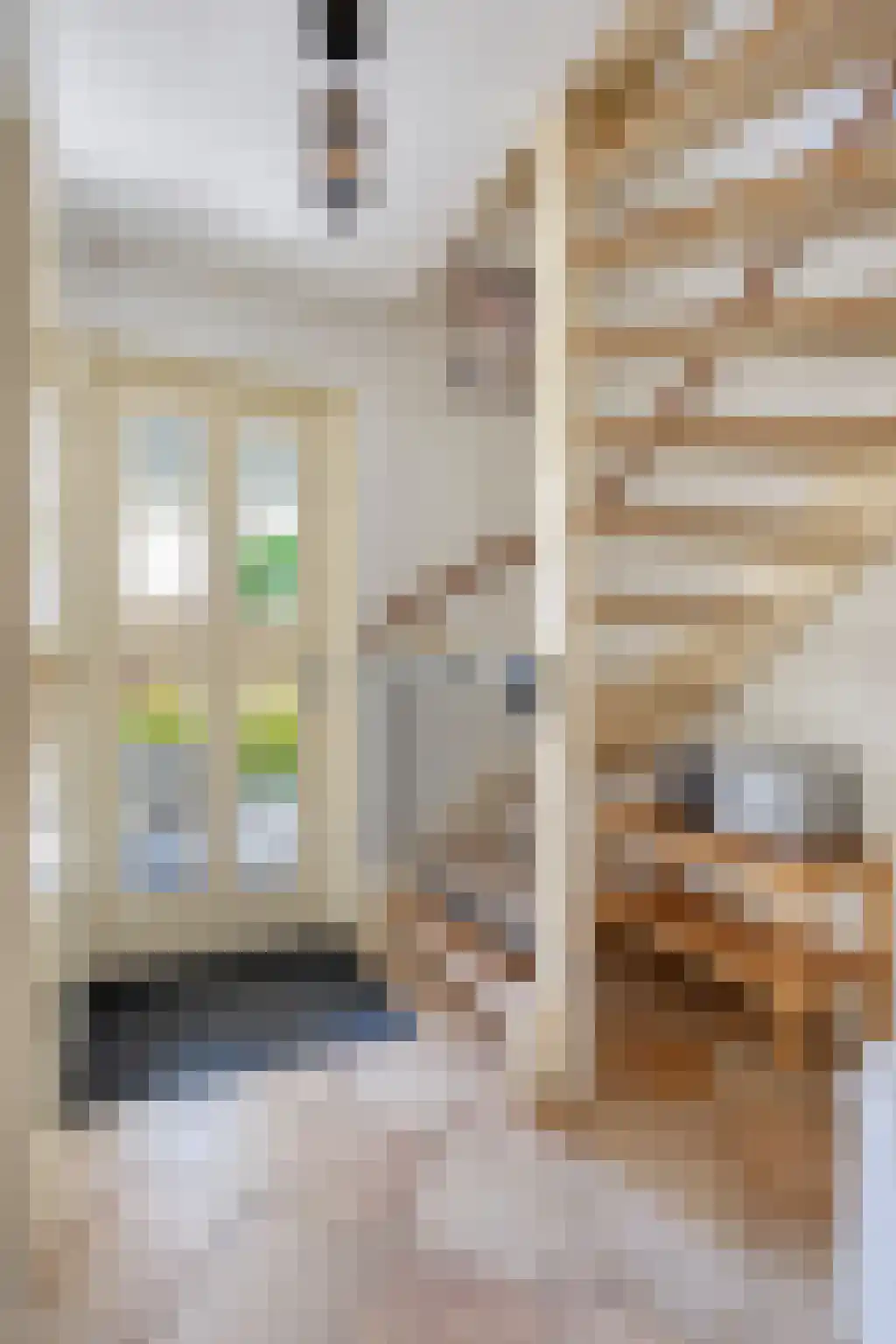 Provincialeweg 61 a Velddriel thumbnail 8