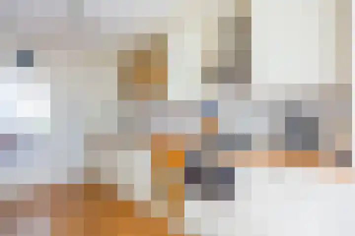 Provincialeweg 69 Kornhorn thumbnail 30