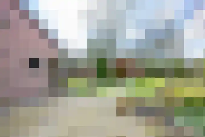 Provincialeweg 69 Kornhorn thumbnail 53