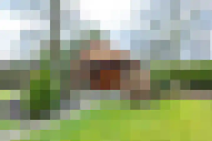 Provincialeweg 69 Kornhorn thumbnail 54