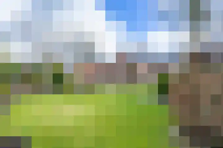 Provincialeweg 69 Kornhorn thumbnail 55