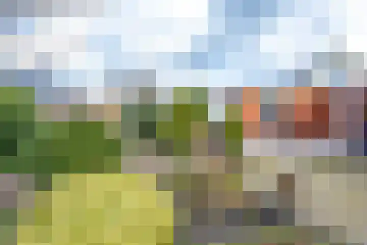 Provincialeweg 69 Kornhorn thumbnail 60