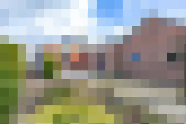 Provincialeweg 69 Kornhorn thumbnail 61
