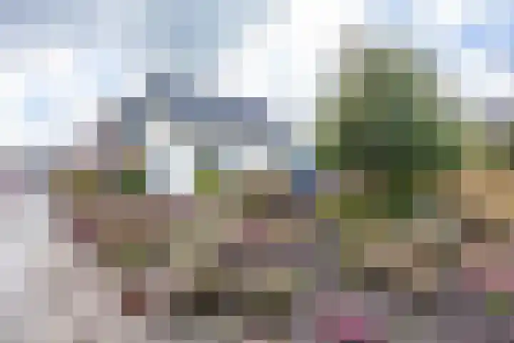 Provincialeweg 69 Kornhorn thumbnail 9