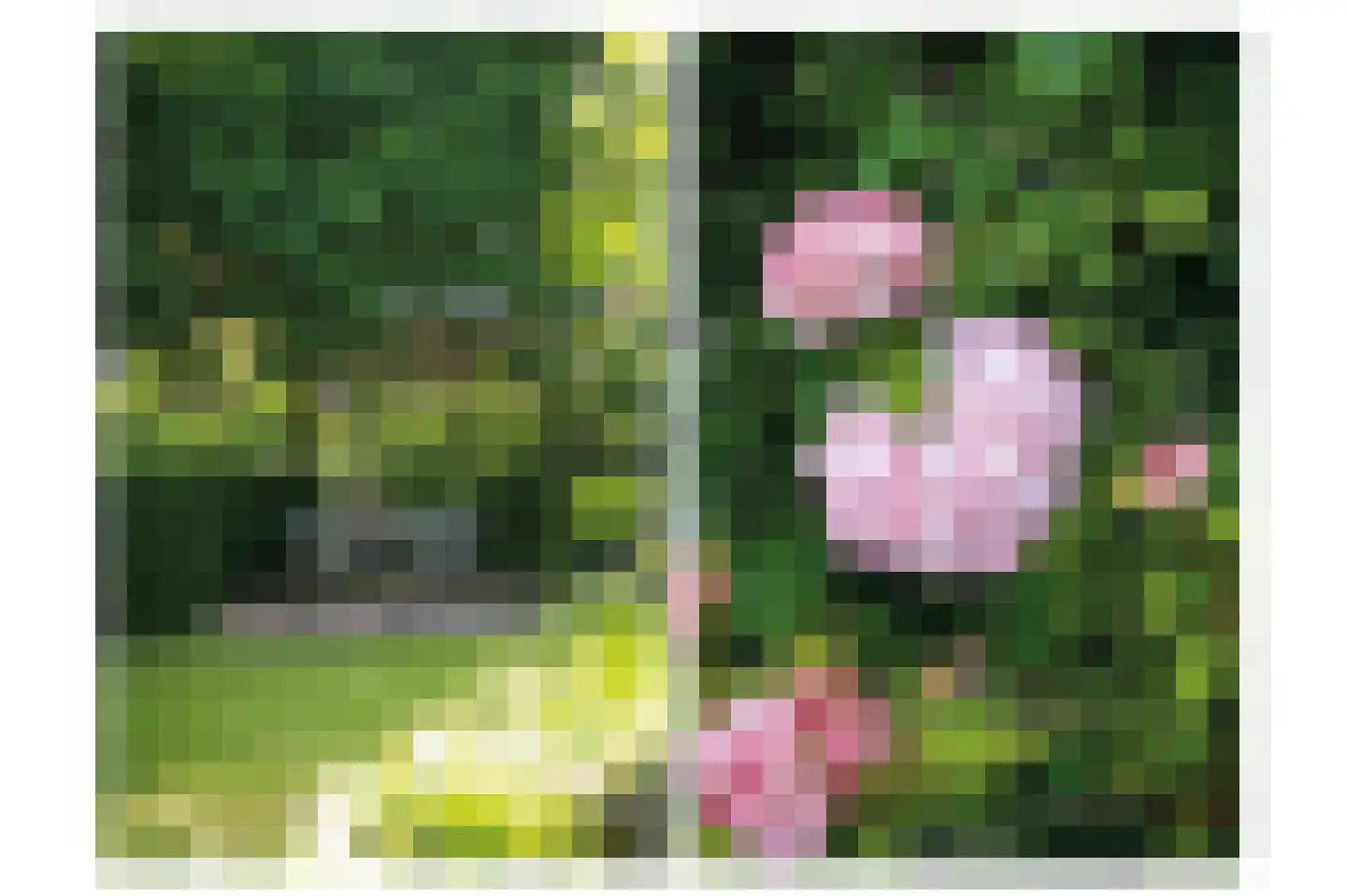 Provincialeweg 69 Maren-Kessel thumbnail 63