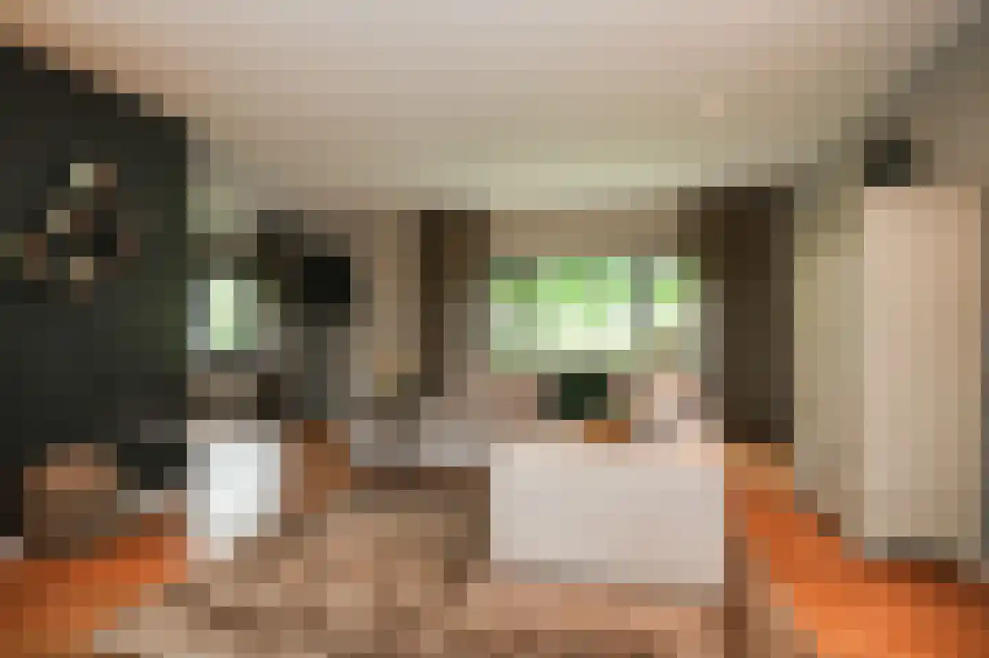 Provincialeweg 69 Maren-Kessel thumbnail 9