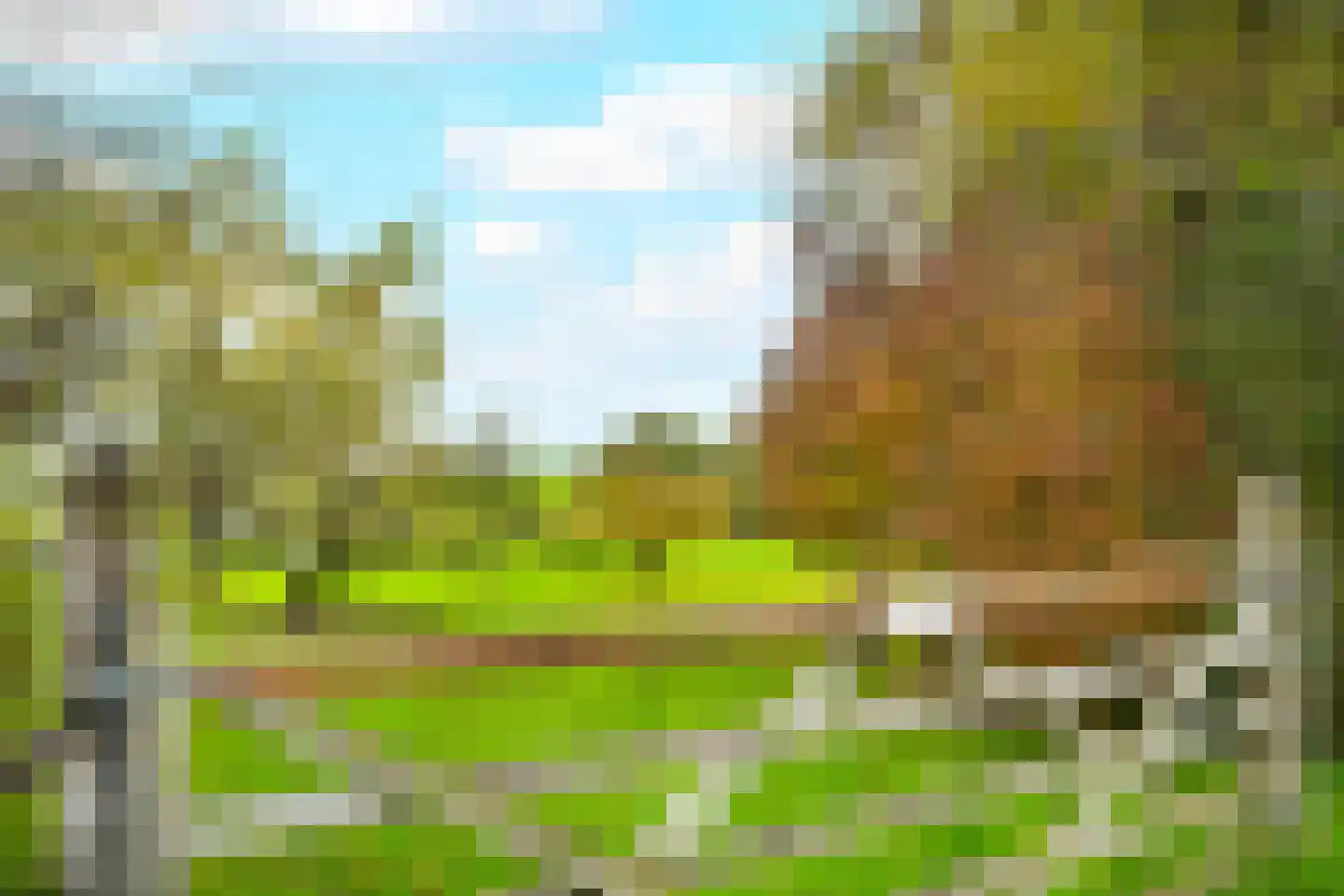 Provincialeweg 69 Schalkwijk thumbnail 30