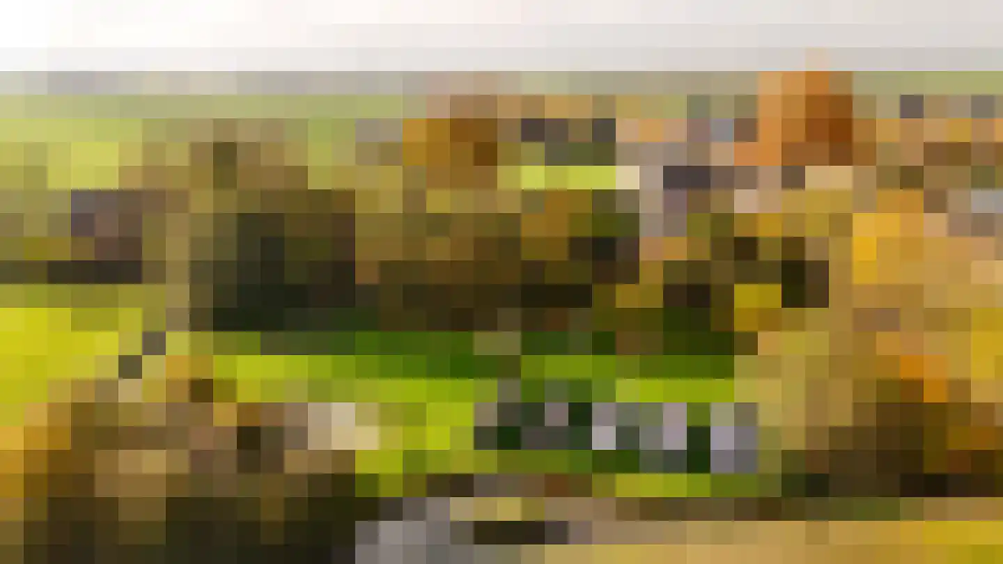 Provincialeweg 69 Schalkwijk thumbnail 31