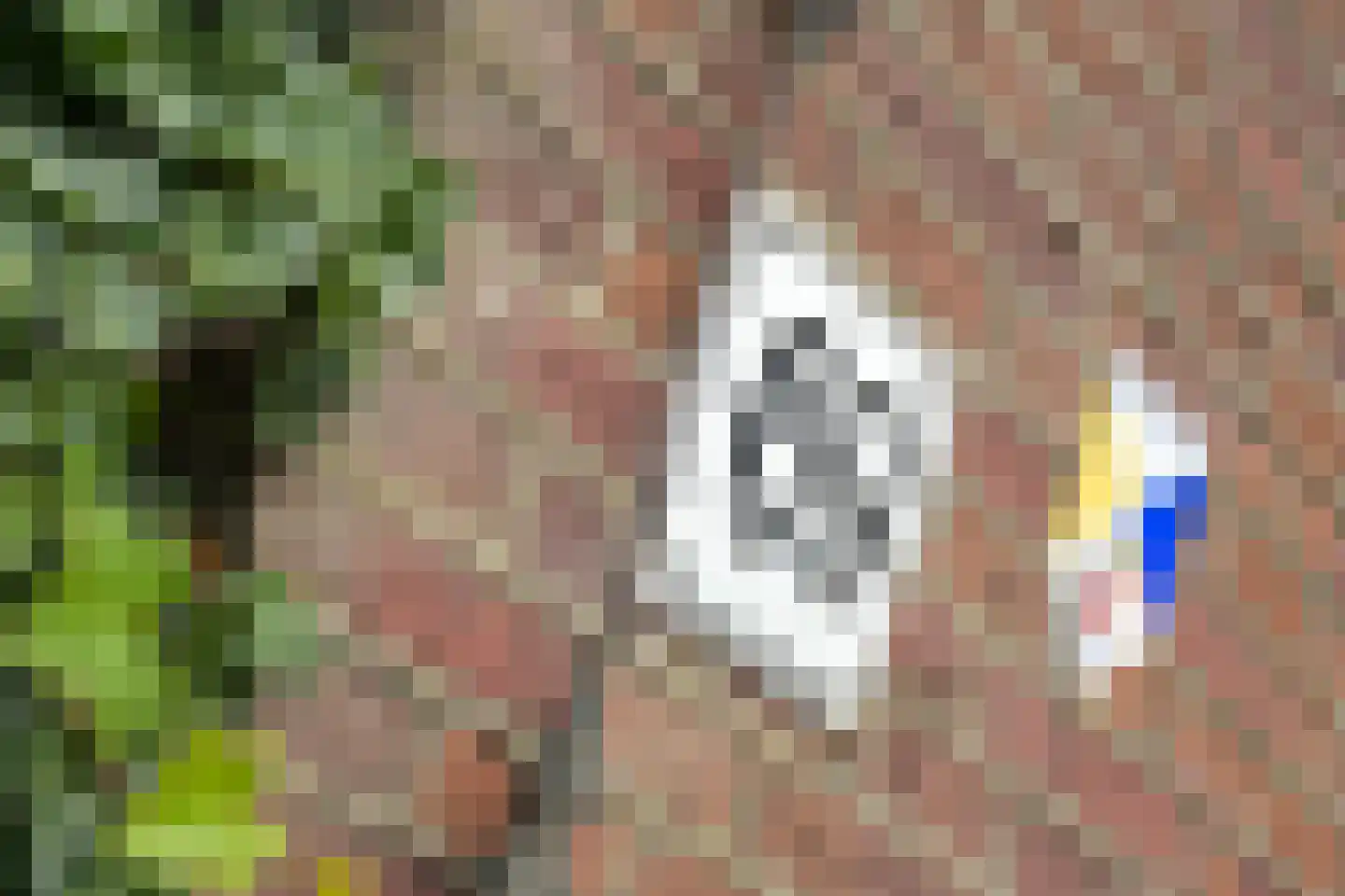 Provincialeweg 69 Schalkwijk thumbnail 4