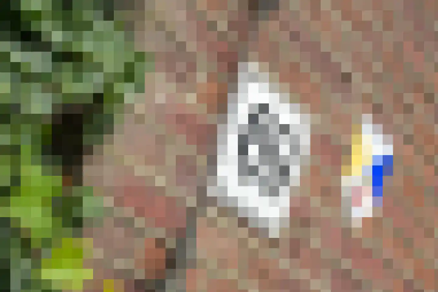 Provincialeweg 69 Schalkwijk thumbnail 5