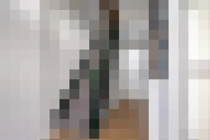 Provincialeweg 7 Adorp thumbnail 12
