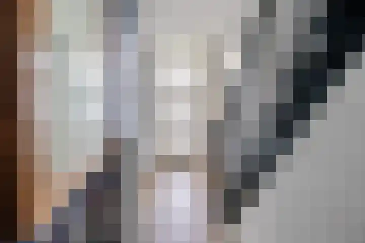 Provincialeweg 7 Adorp thumbnail 13