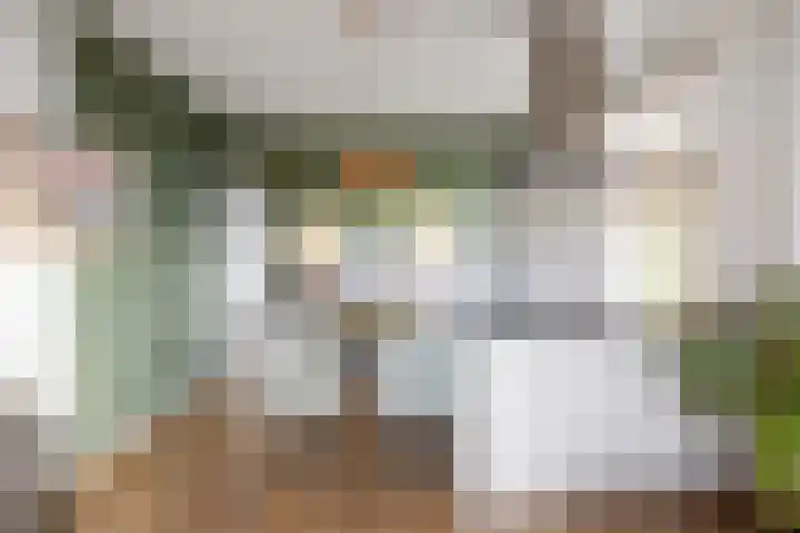 Provincialeweg 7 Adorp thumbnail 18