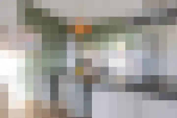 Provincialeweg 7 Adorp thumbnail 19