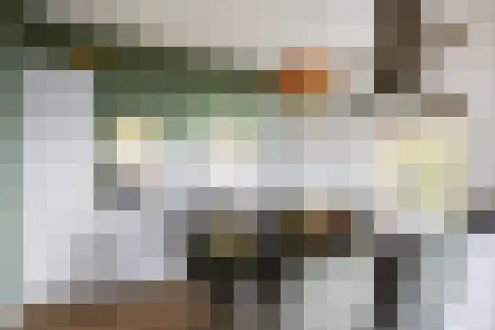 Provincialeweg 7 Adorp thumbnail 20