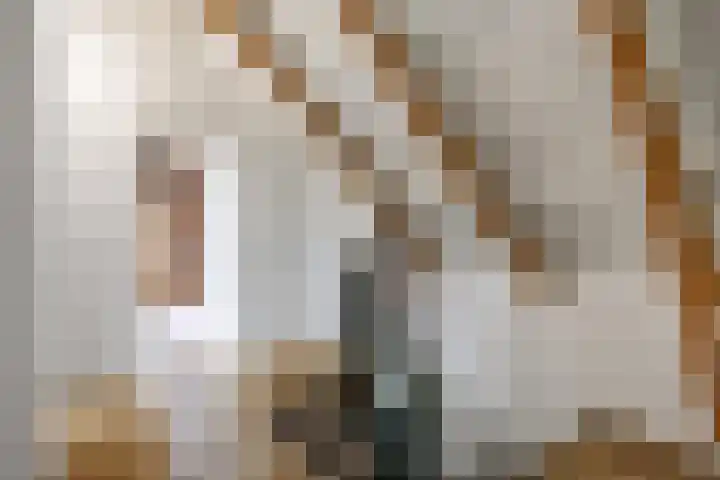 Provincialeweg 7 Adorp thumbnail 33
