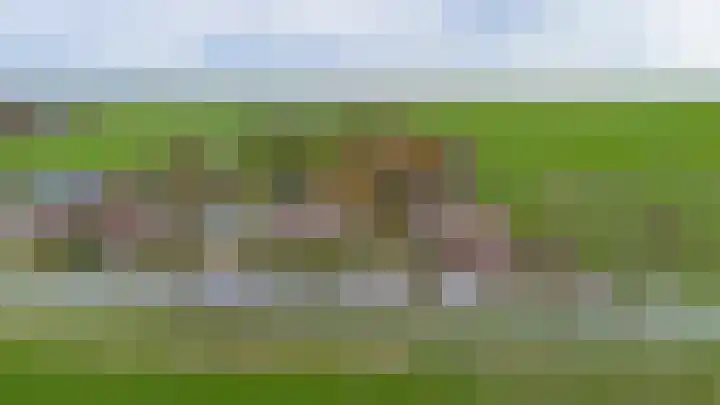 Provincialeweg 7 Adorp thumbnail 4
