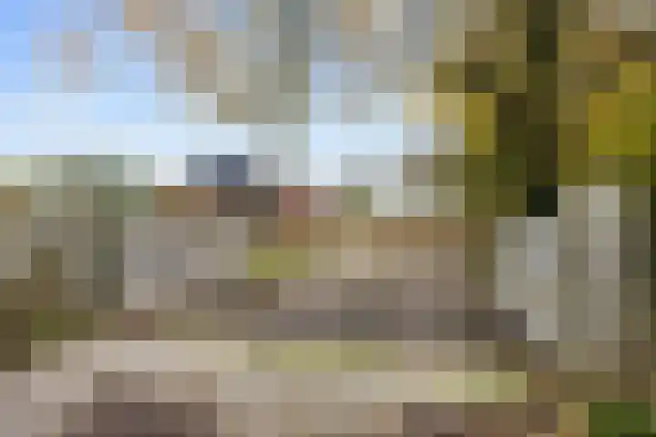 Provincialeweg 7 Adorp thumbnail 43