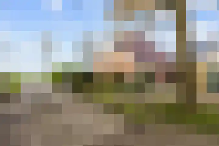 Provincialeweg 7 Adorp thumbnail 44