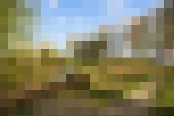 Provincialeweg 7 Adorp thumbnail 51